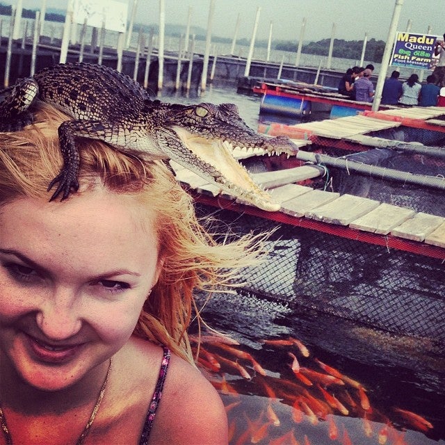 
Maduwa river safari
 in Balapitiya