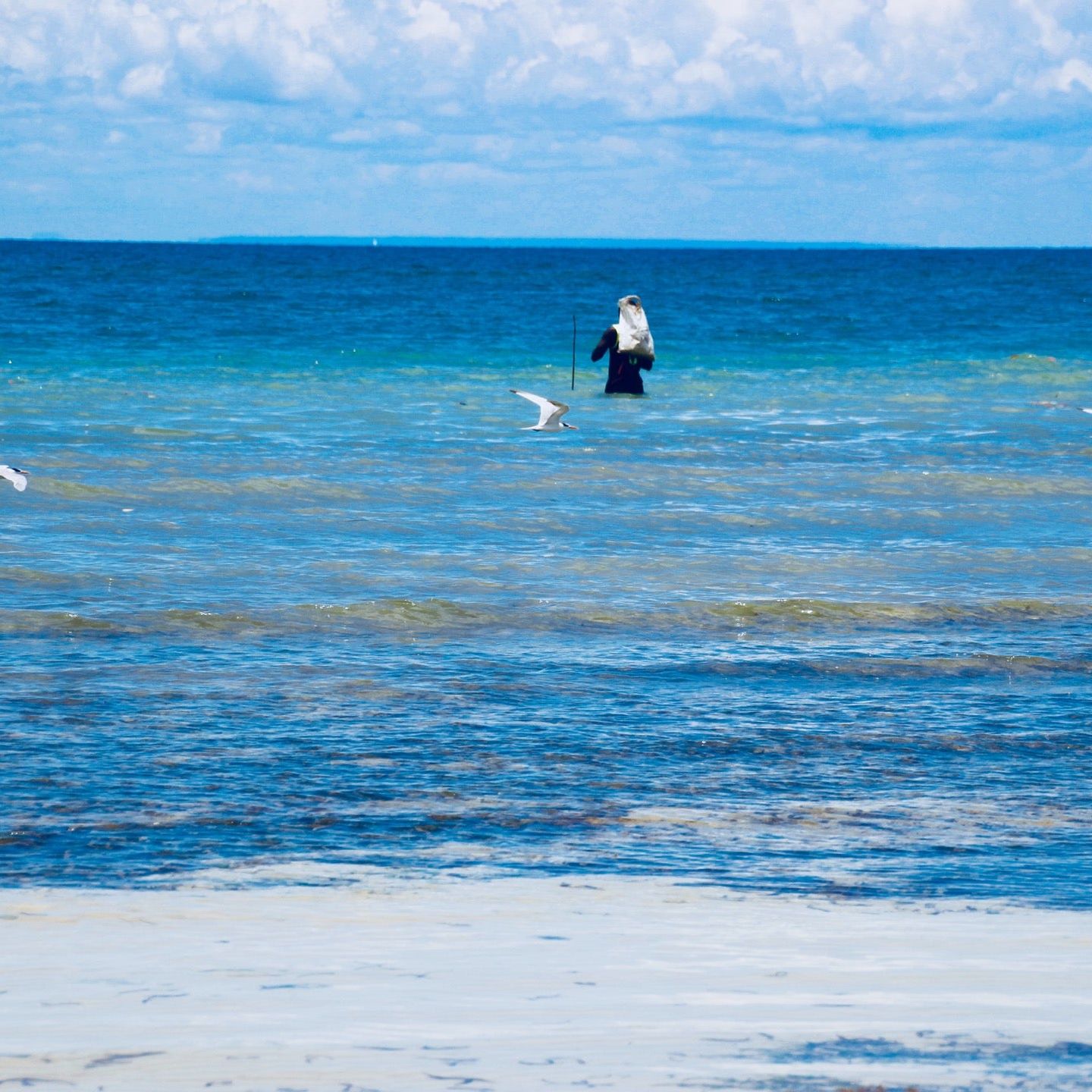 
Mangapwani Beach
 in Zanzibar City