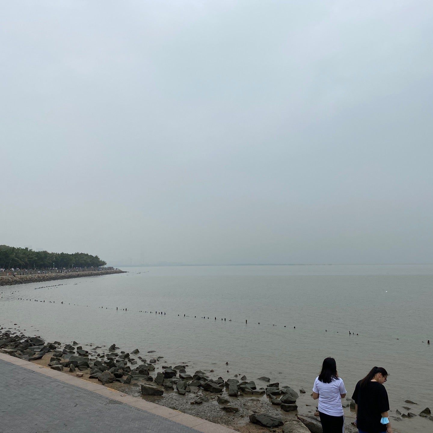 
Mangrove Natural Reserve (红树林自然保护区)
 in Shenzhen