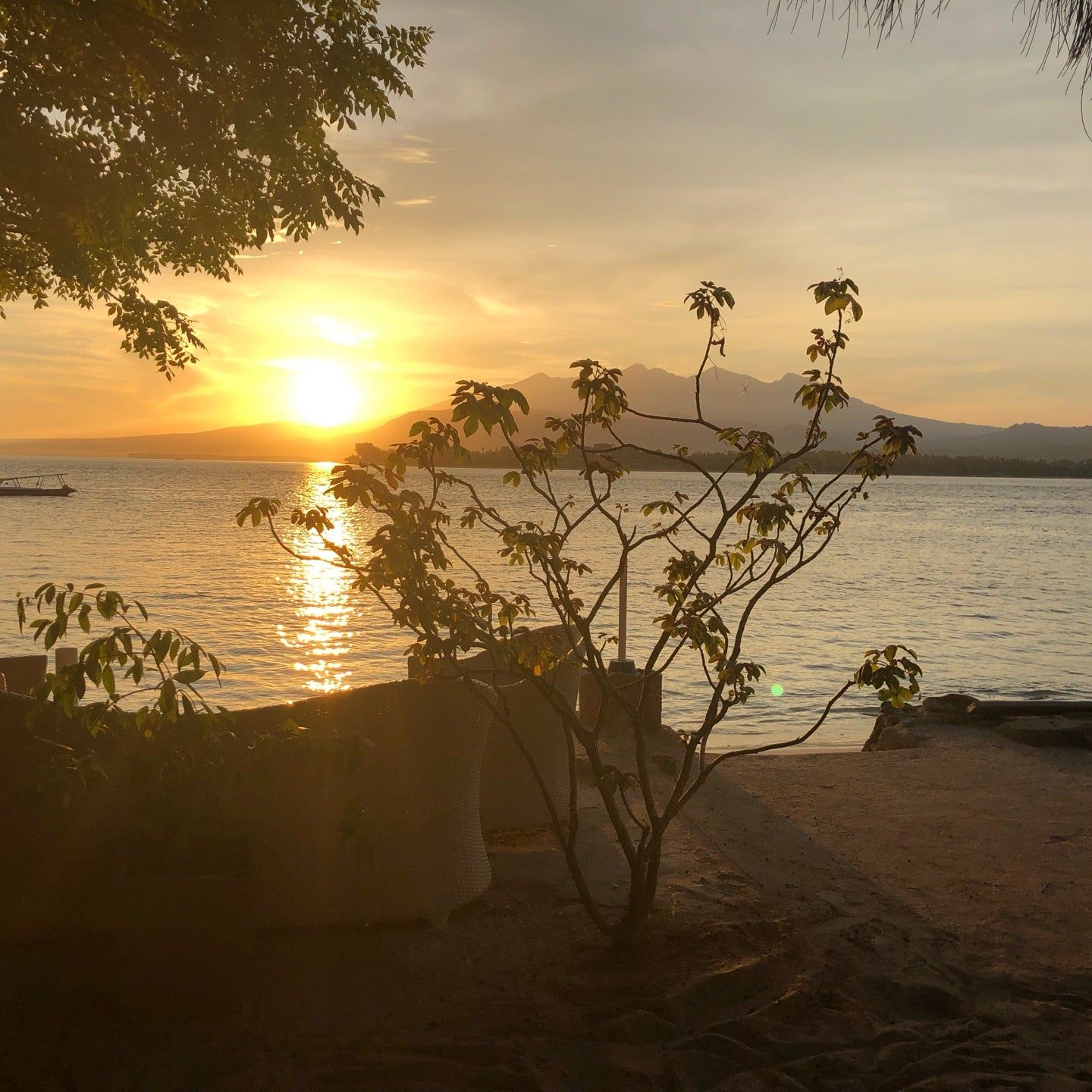 
Manta Dive - Gili Air
 in Tanjung