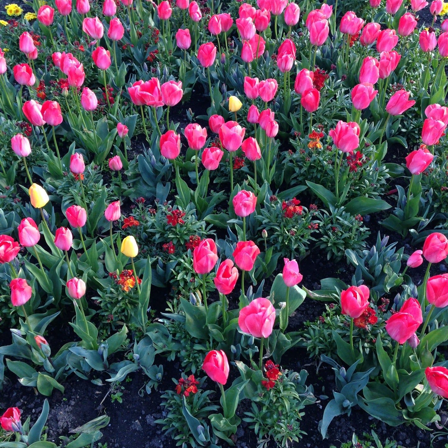 
Merrion Square Park
 in Dublin County