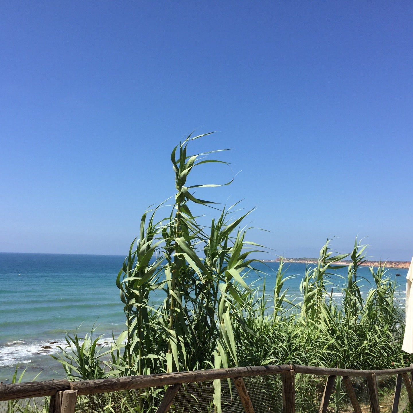 
Mirador El roqueo
 in Cadiz Province