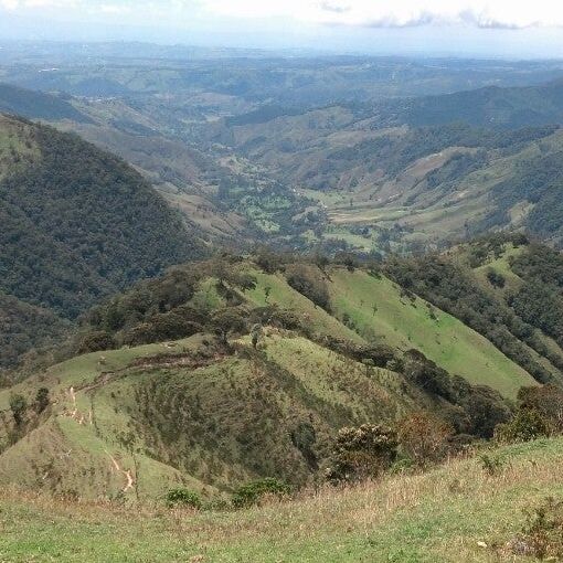 
Mirador reserva morrogacho 1
 in Quindio