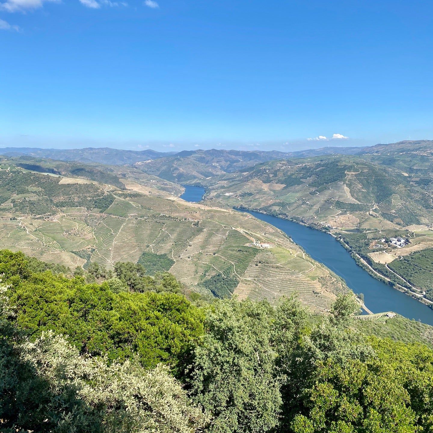 
Miradouro São Leonardo De Galafura
 in Viseu District