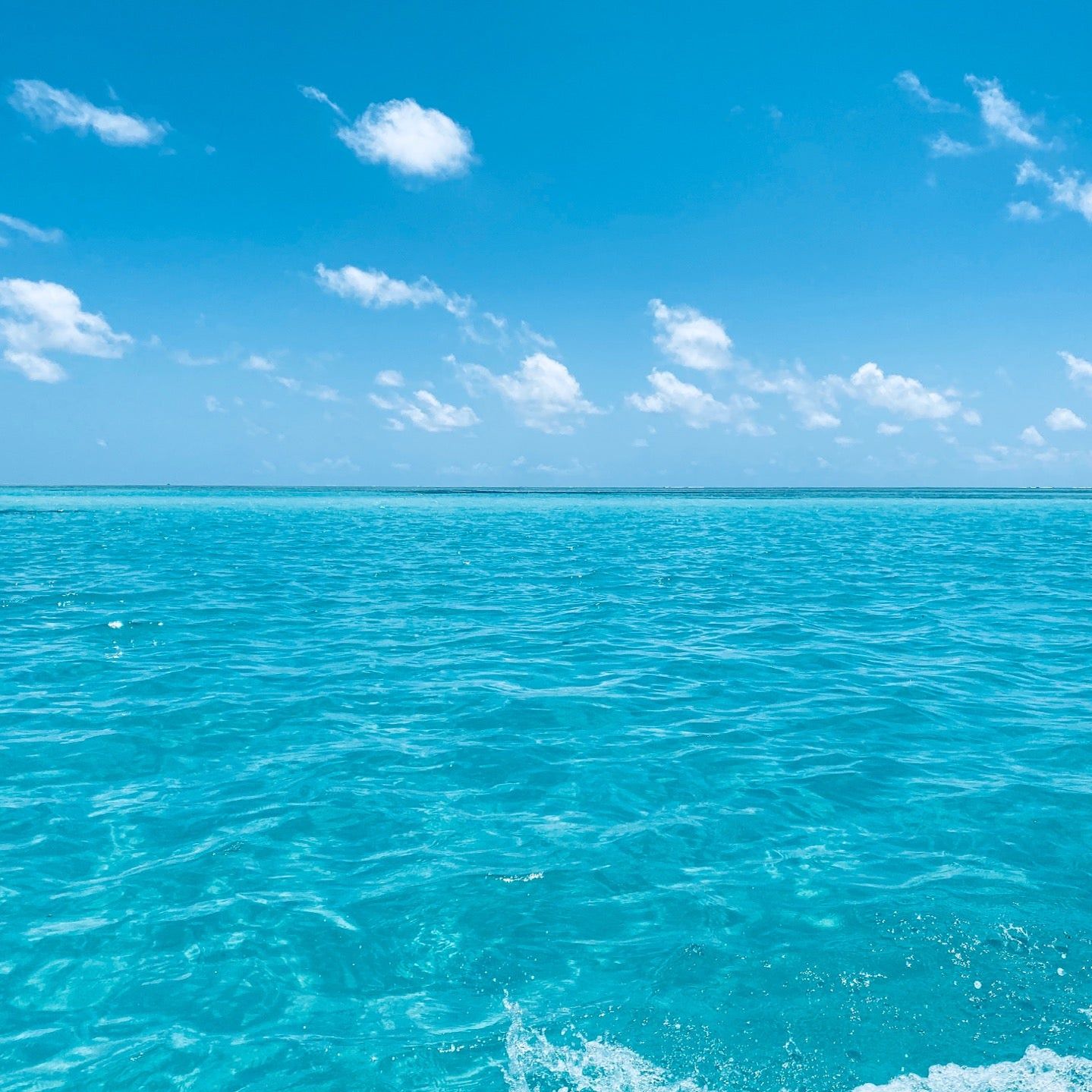 
Mnemba Coral Reef
 in Matemwe