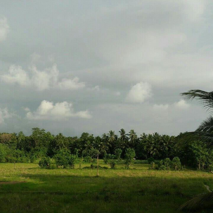 
Molligoda
 in Kalutara District