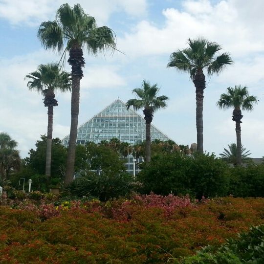 
Moody Gardens Aquarium Pyramid
 in Galveston