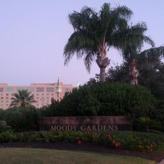 
Moody Gardens Convention Center
 in Galveston