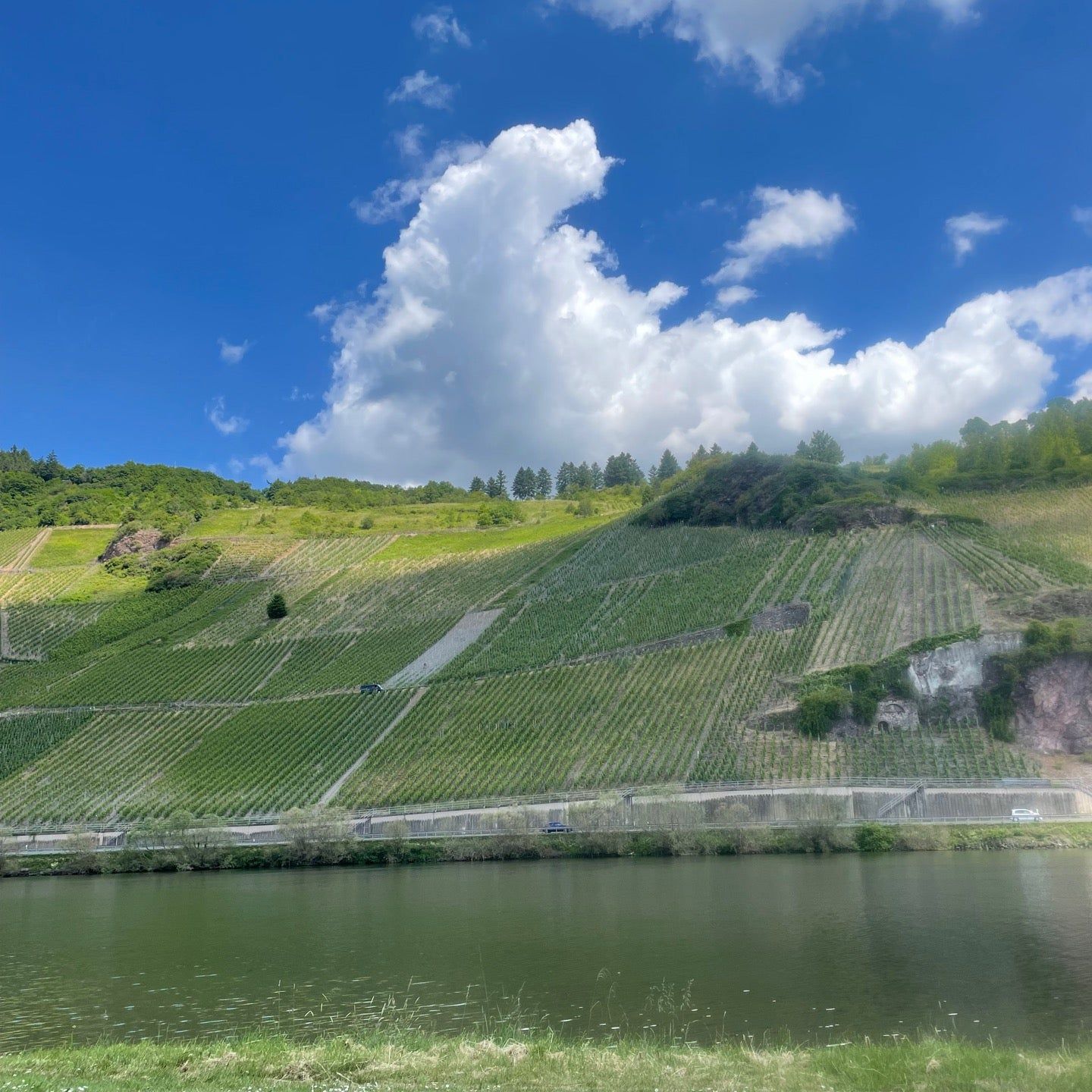 
Mosel
 in Hunsrück