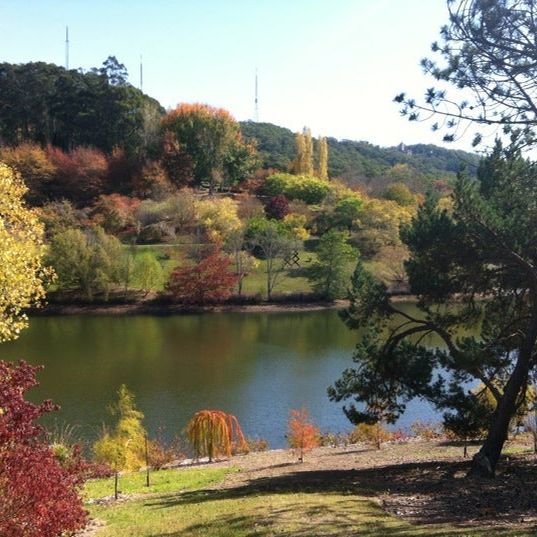 
Mount Lofty Botanic Garden
 in South Australia