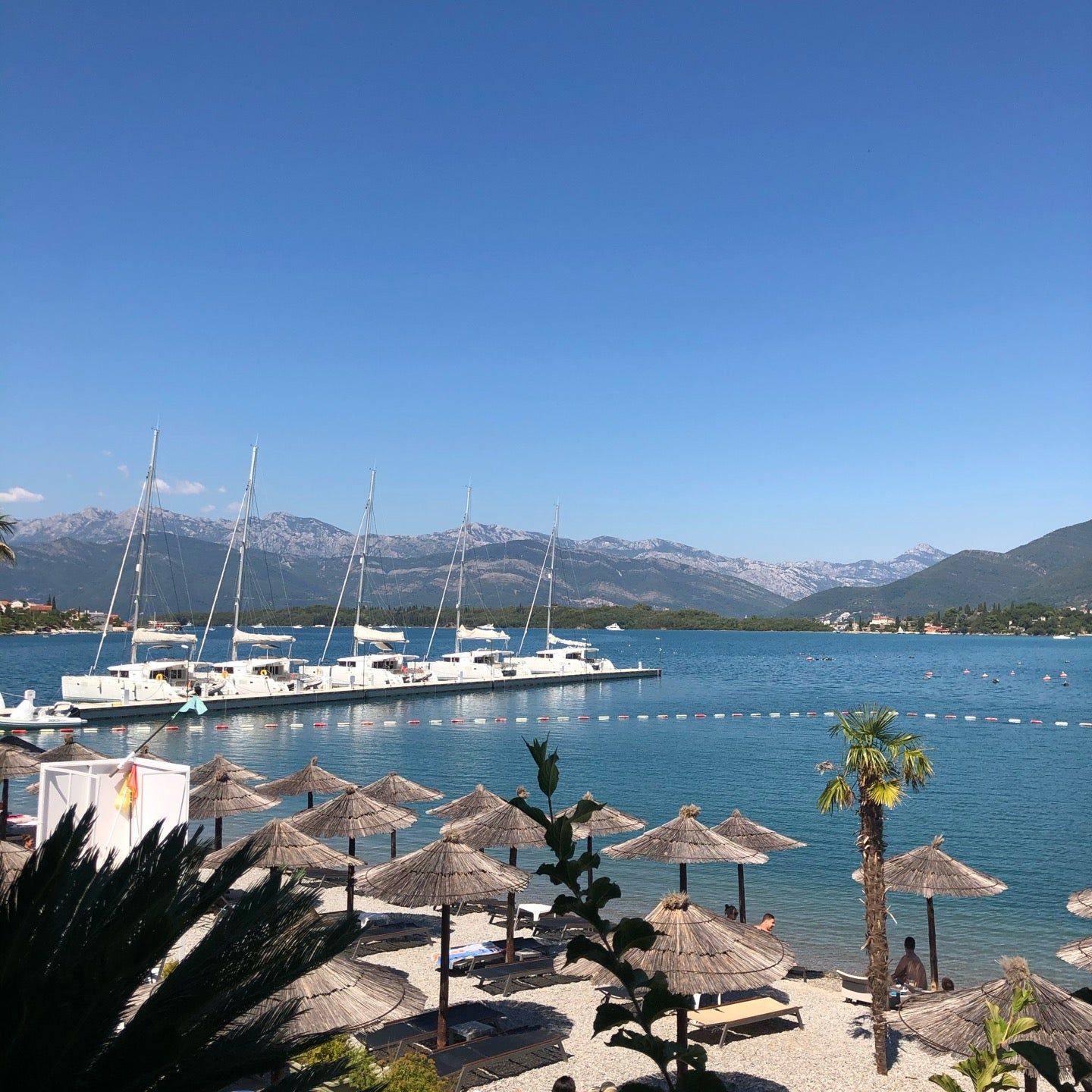 
Movida Montenegro
 in Tivat