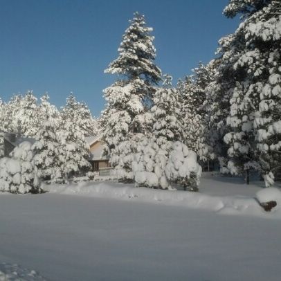 
Munds Park, AZ
 in Sedona