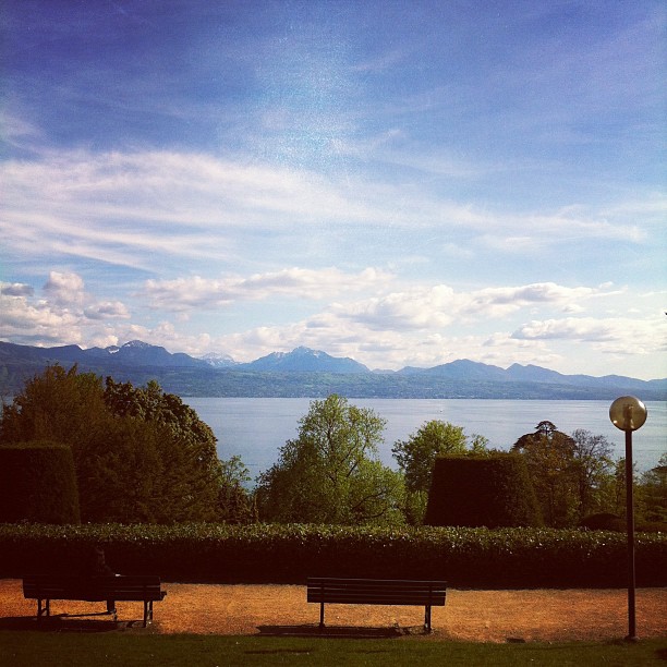 
Musée de l'Élysée
 in Lausanne