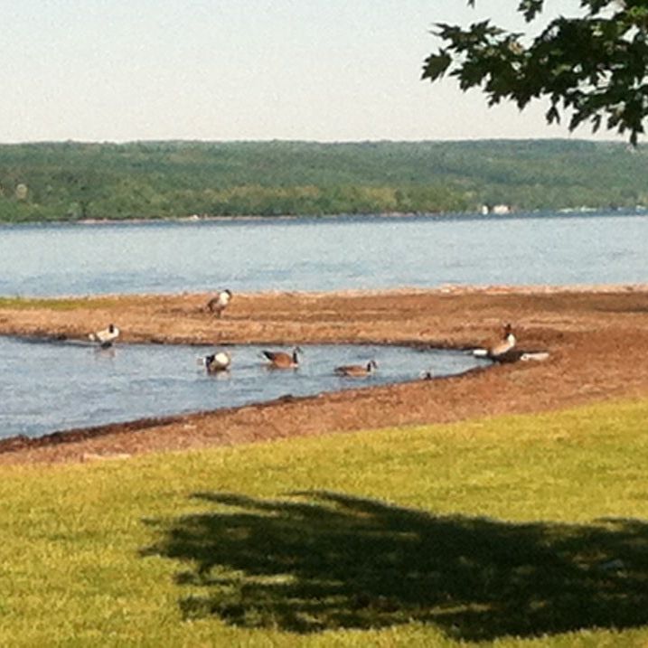 
Myers Park
 in Finger Lakes