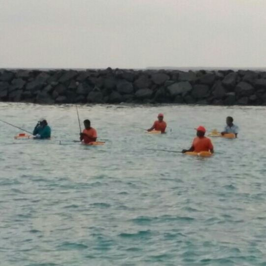 
N.Kudafari Jetty
 in Manadhoo