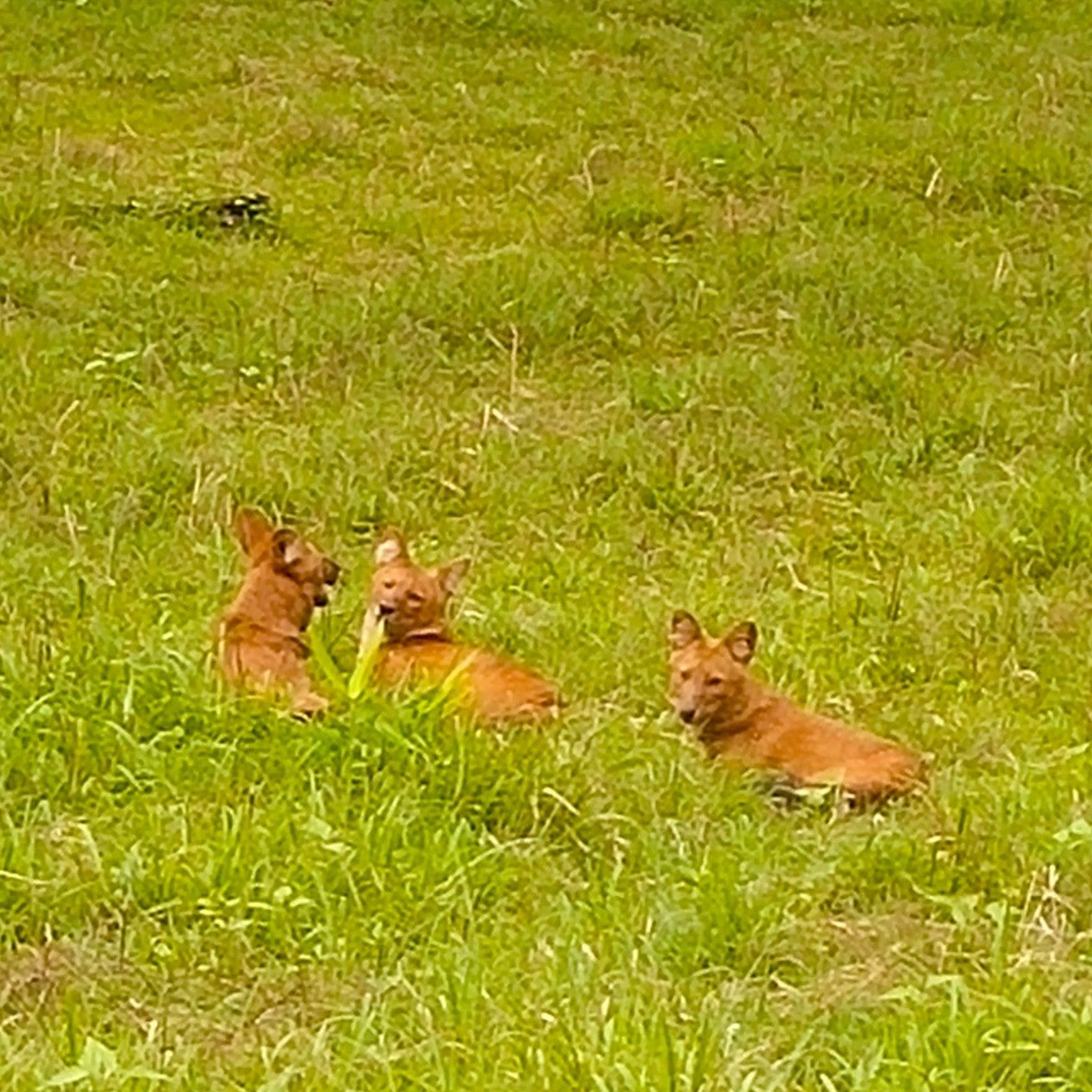 
Nagarahole National Park
 in Mahe, South