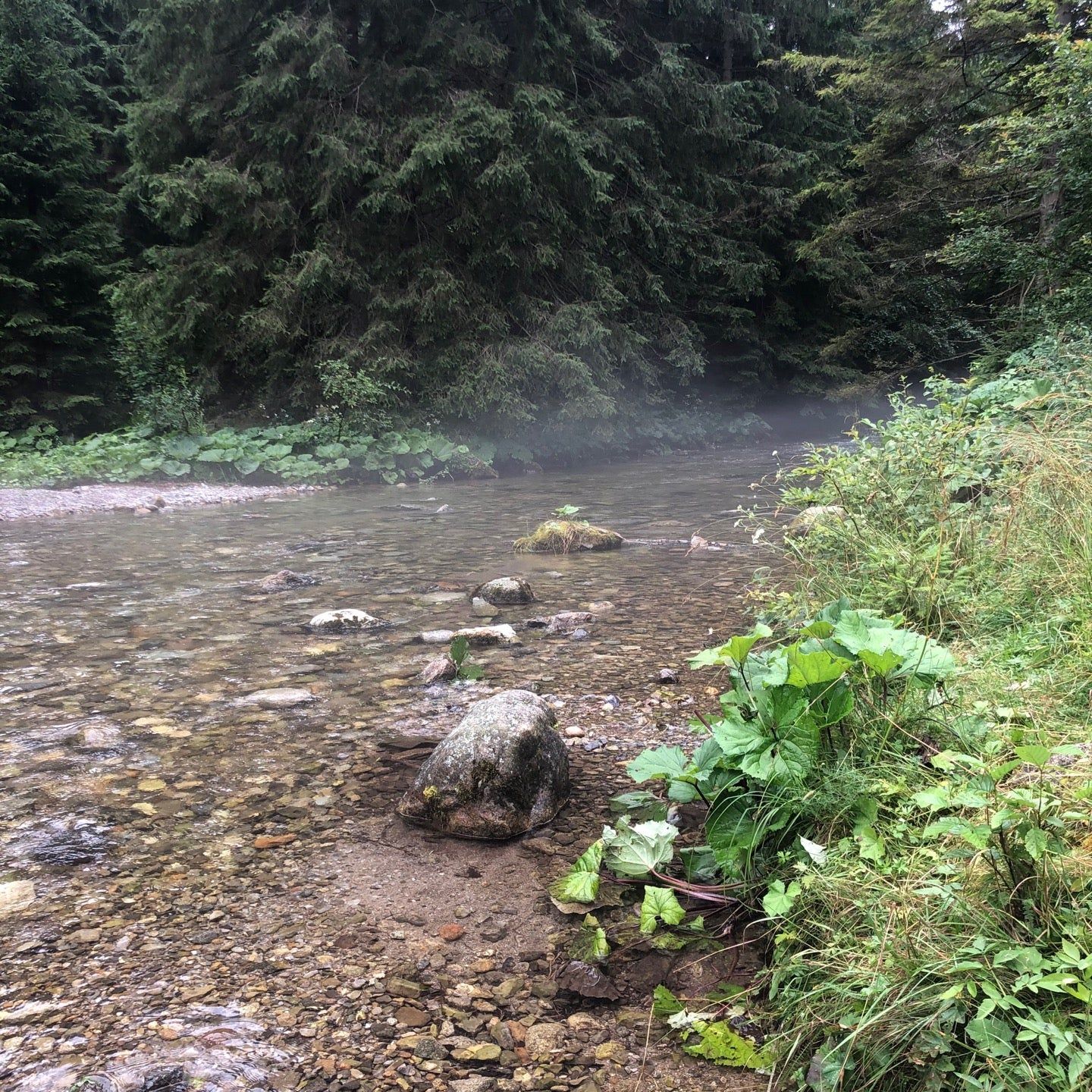 
Národný park Nízke Tatry | NAPANT
 in Demanovska Dolina