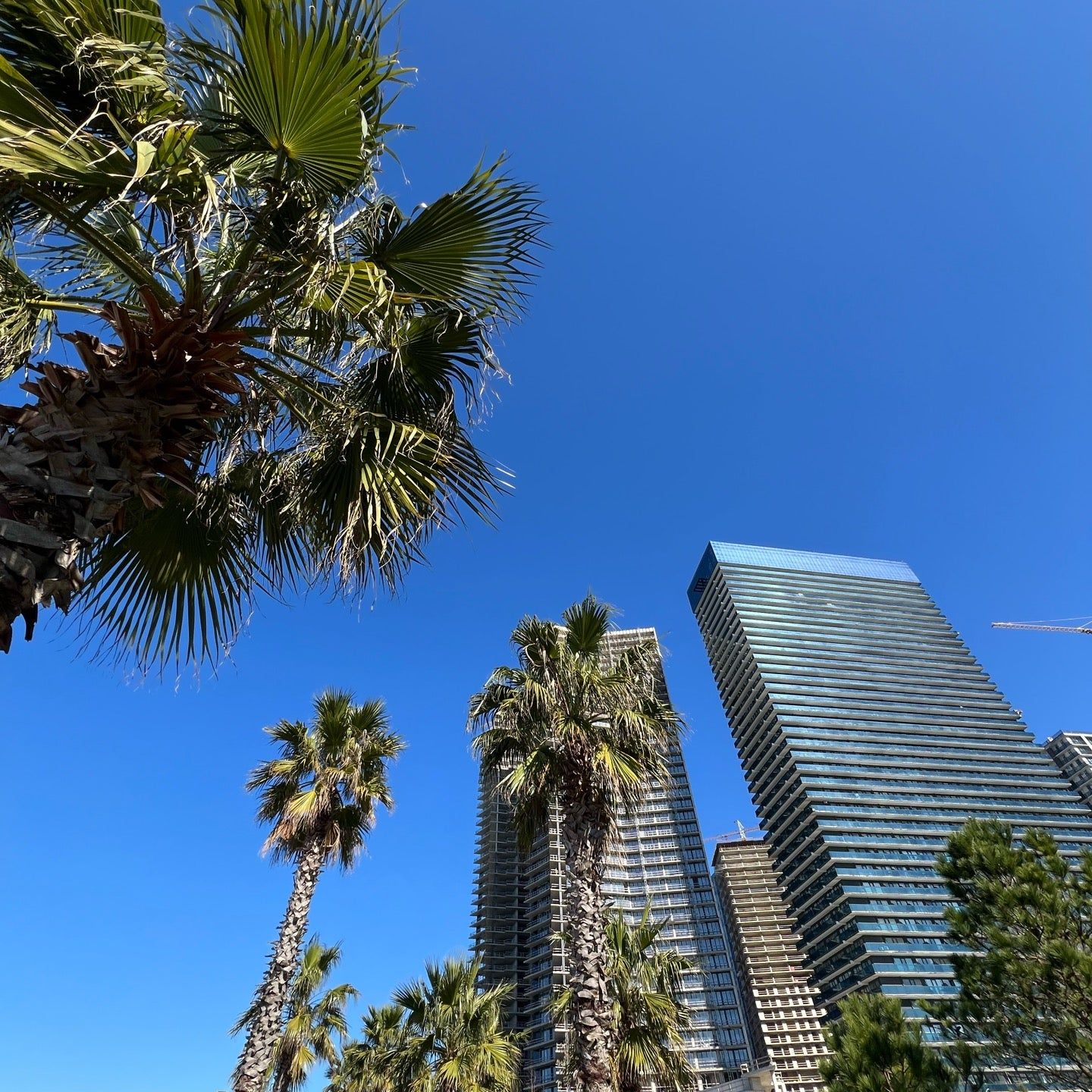 
New Boulevard Beach
 in Ajara