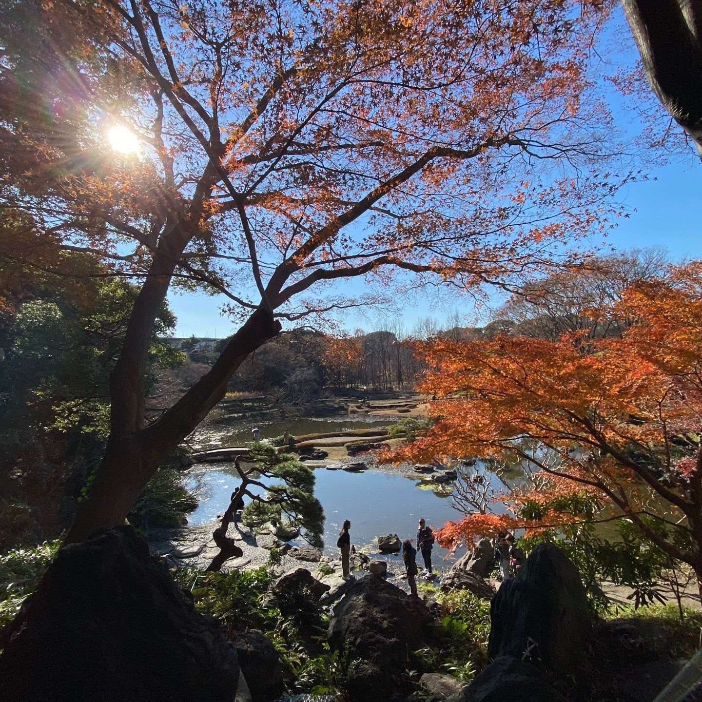 
Ninomaru Garden (二の丸庭園)
 in Koto/Edogawa Ku