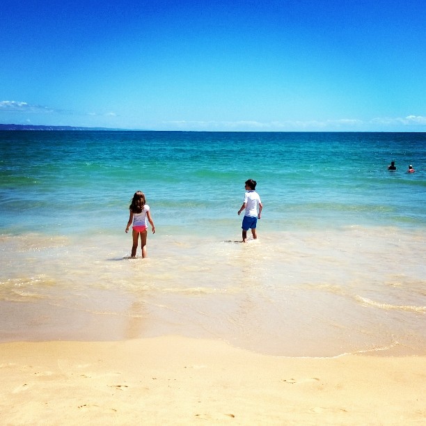 
Noosa Beach
 in Noosaville