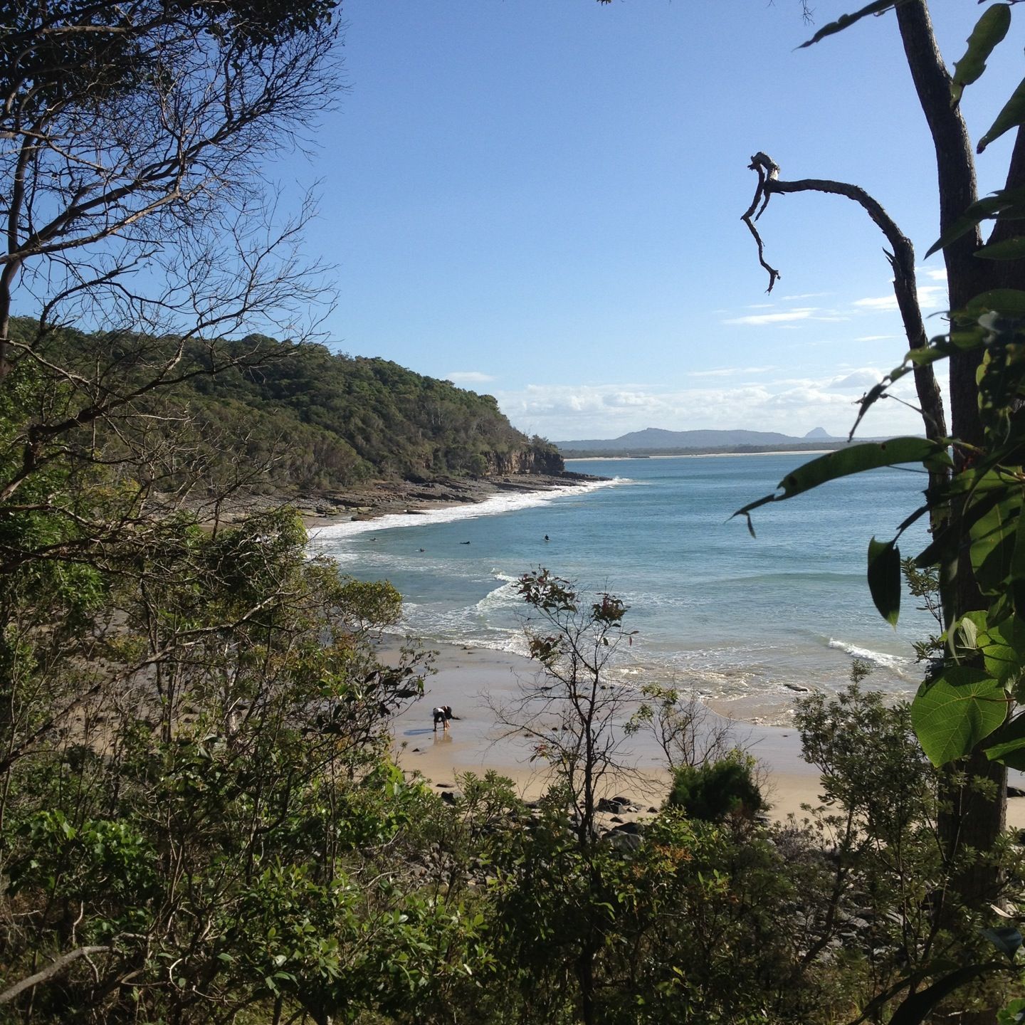 
Noosa National Park
 in Noosa Heads