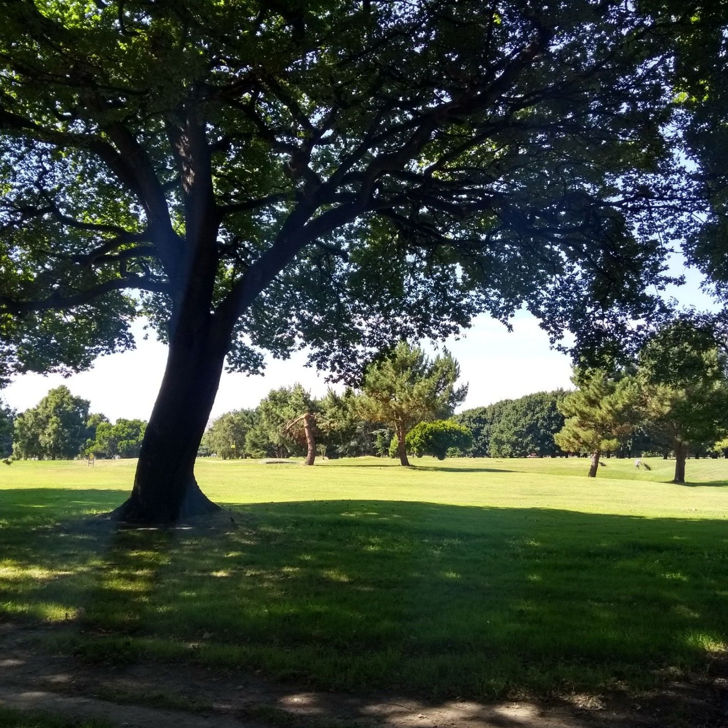 
North Hagley Park
 in Canterbury