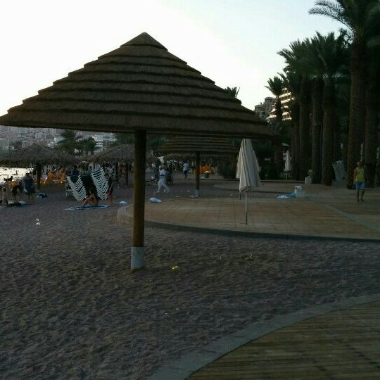 
Northen Beach (החוף הצפוני)
 in Red Sea