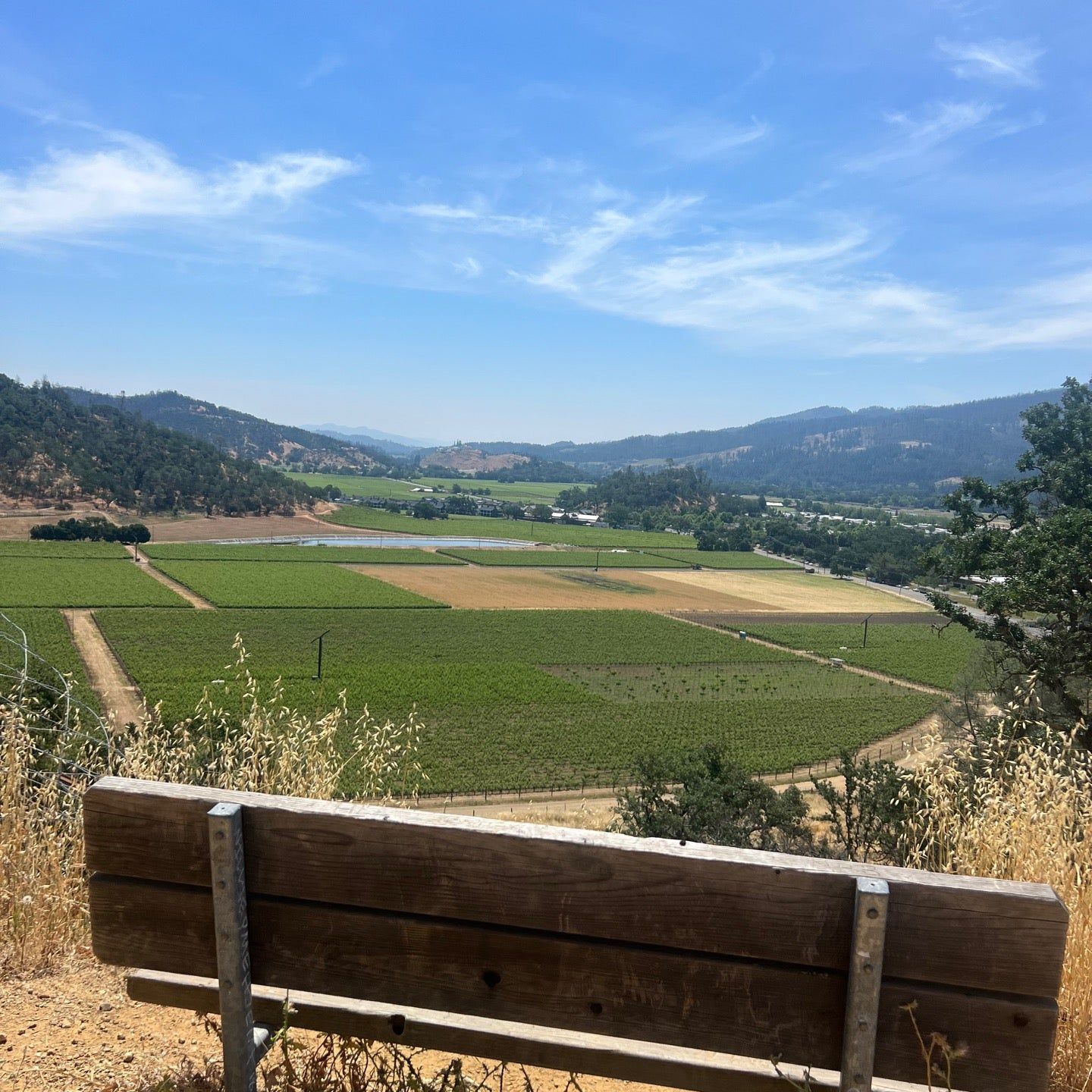 
Oat Hill Mine Trail
 in California North