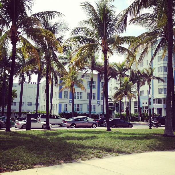 
Ocean And 5th
 in Miami Beach