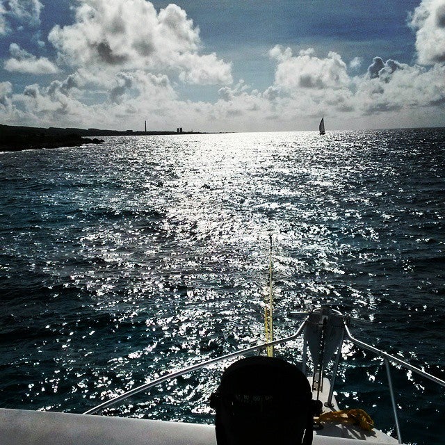 
Ocean Encounters Diving
 in Dutch Antilles