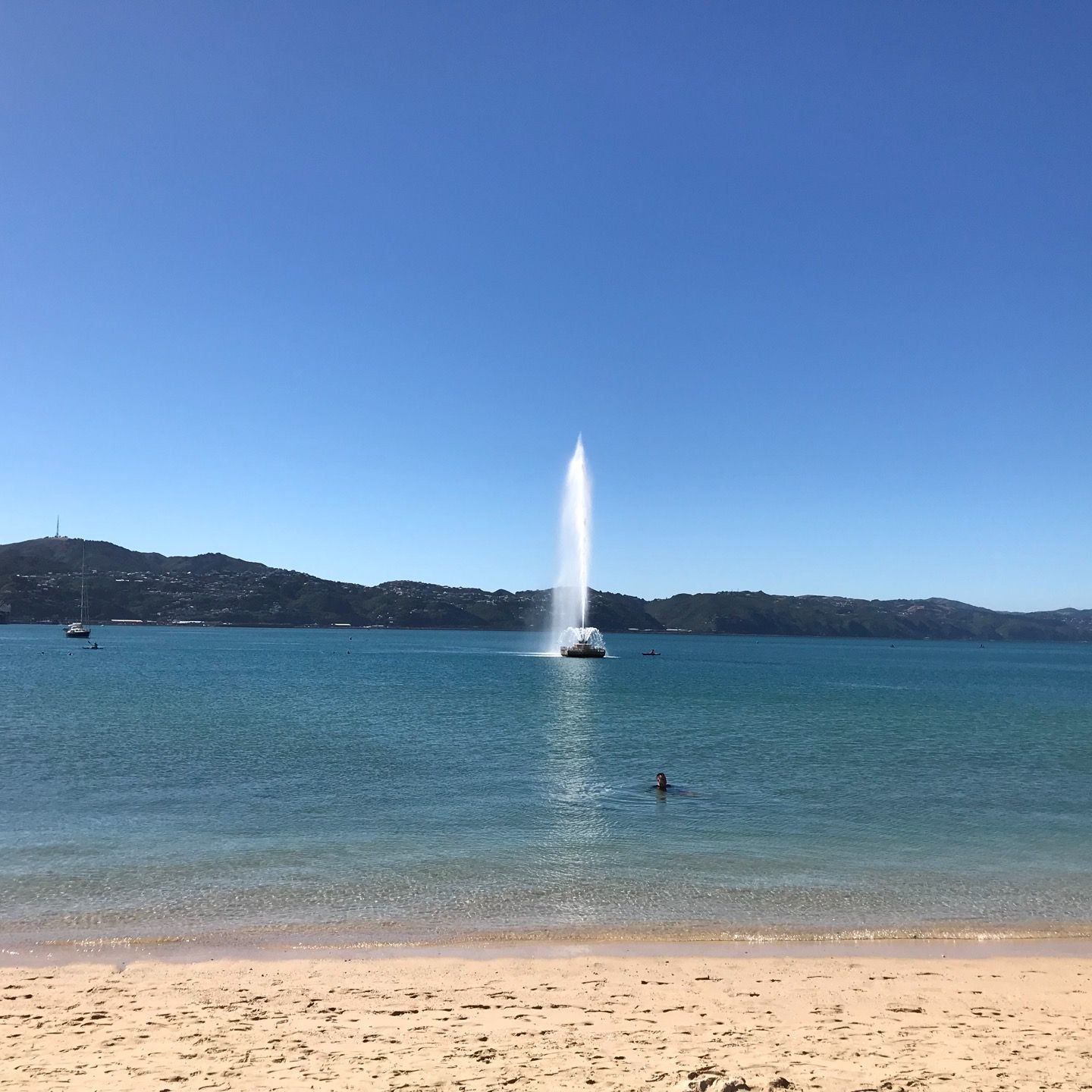 
Oriental Bay
 in Wellington