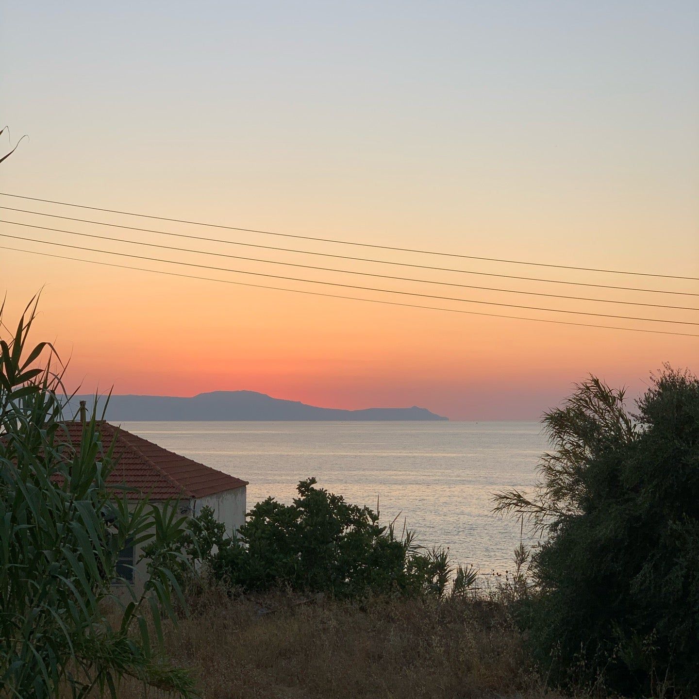 
Oxo Nou (Οξω Νου)
 in Chania