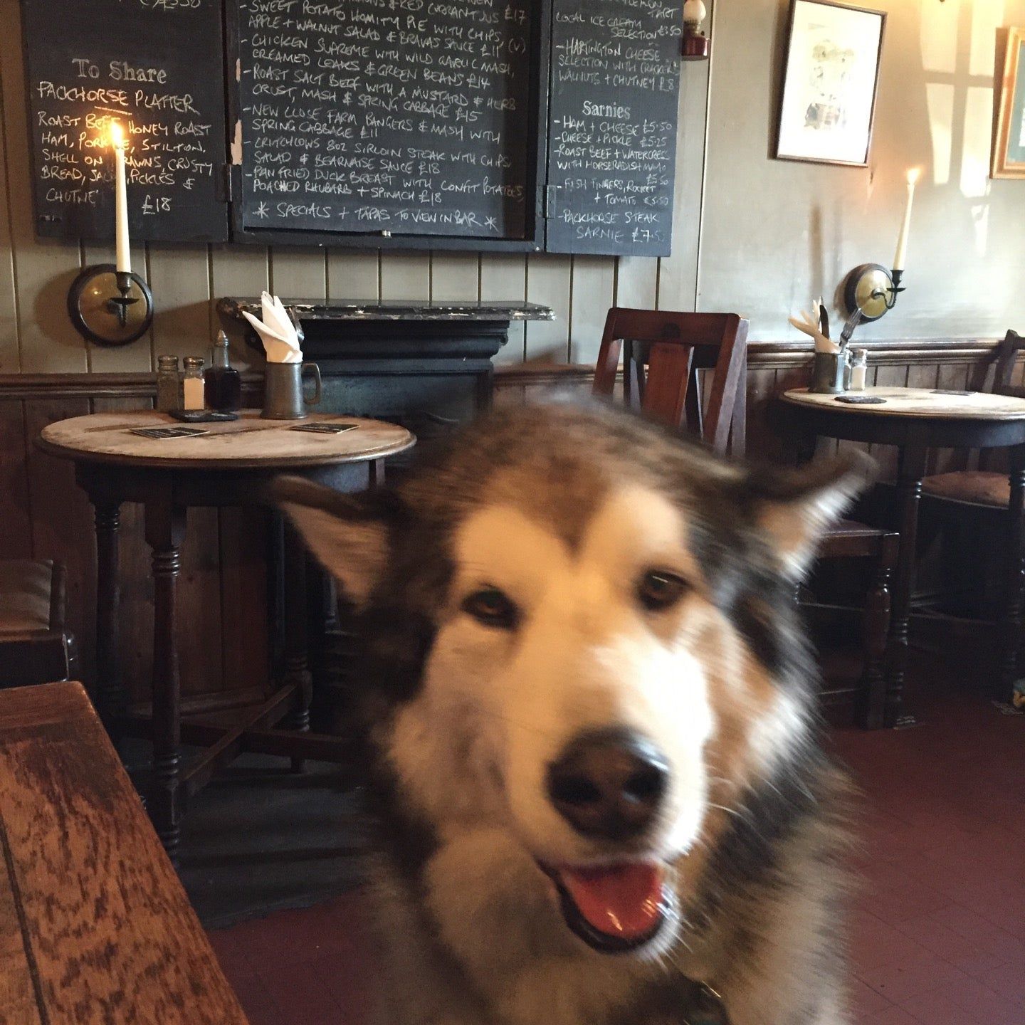 
Packhorse Inn
 in Peak District