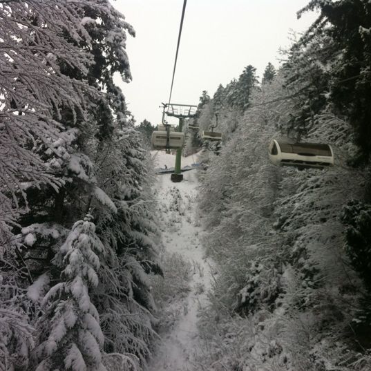 
Paganella Ski Area
 in Andalo