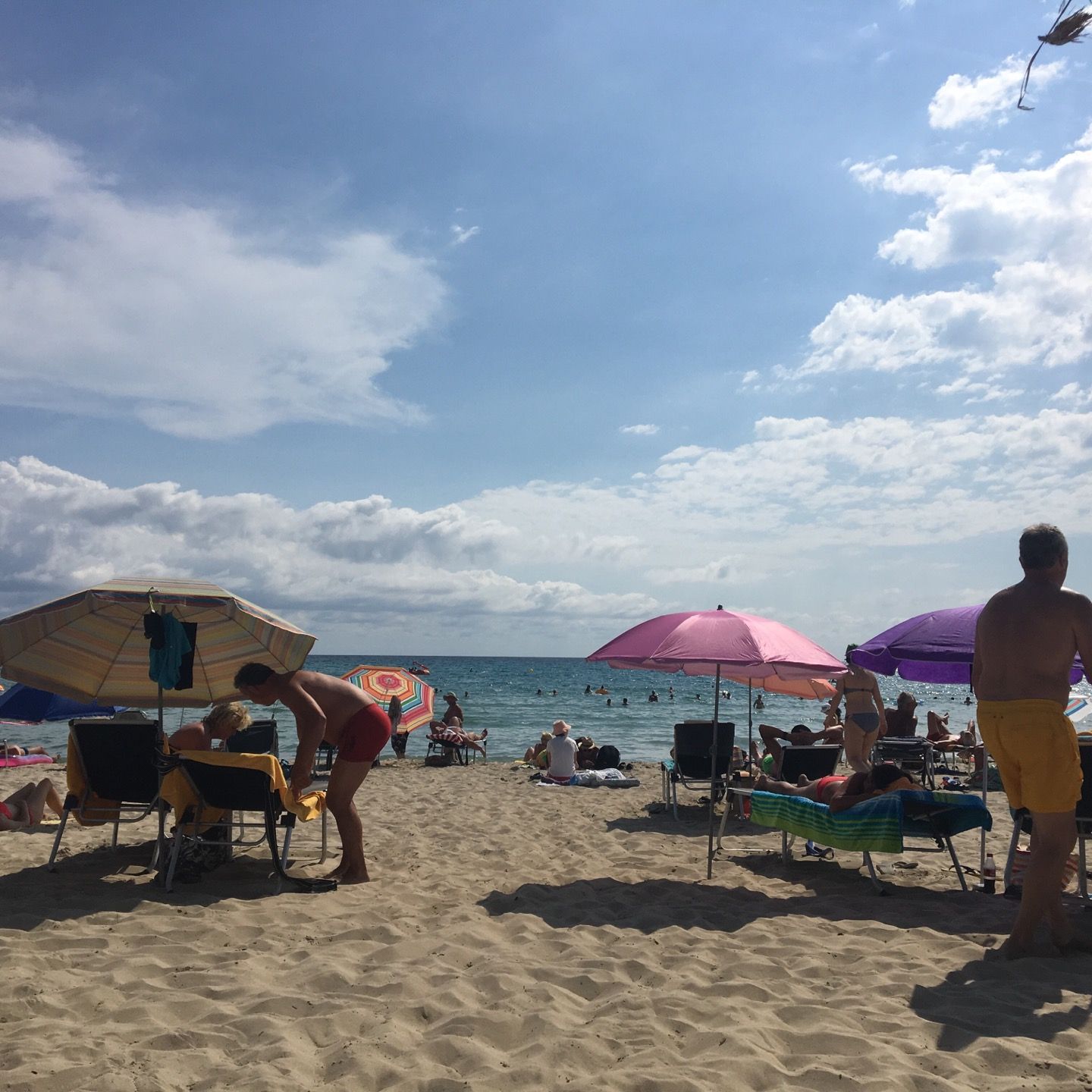 
Paguera Beach
 in Paguera