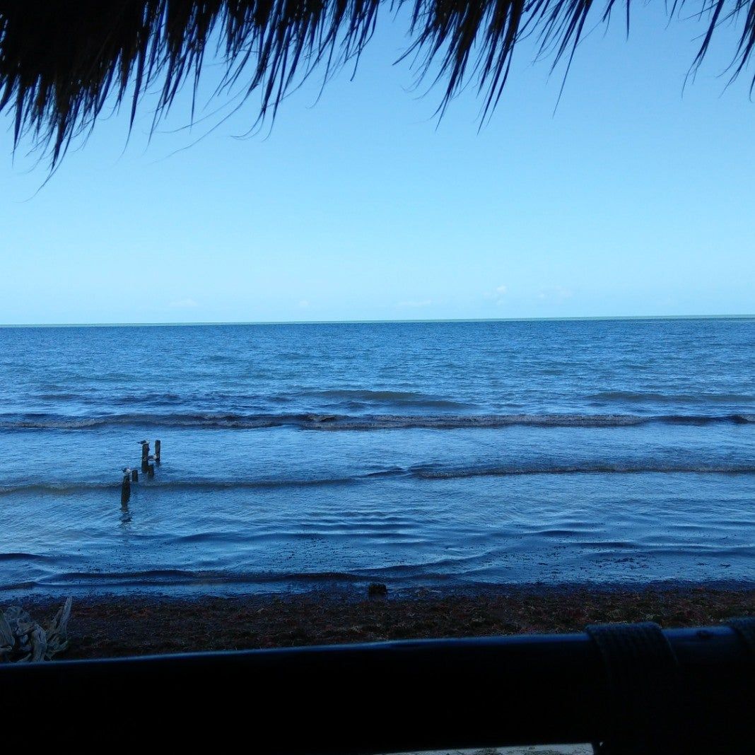 
Palapa Del Mar
 in Holbox Island