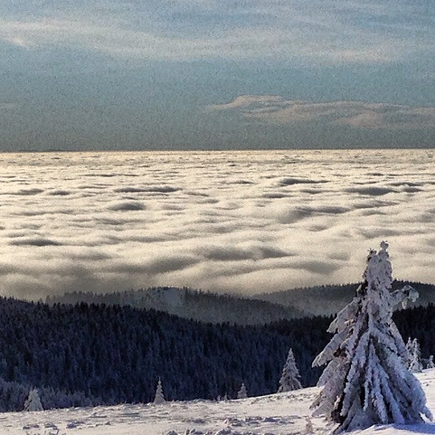 
Pančićev vrh
 in Kopaonik