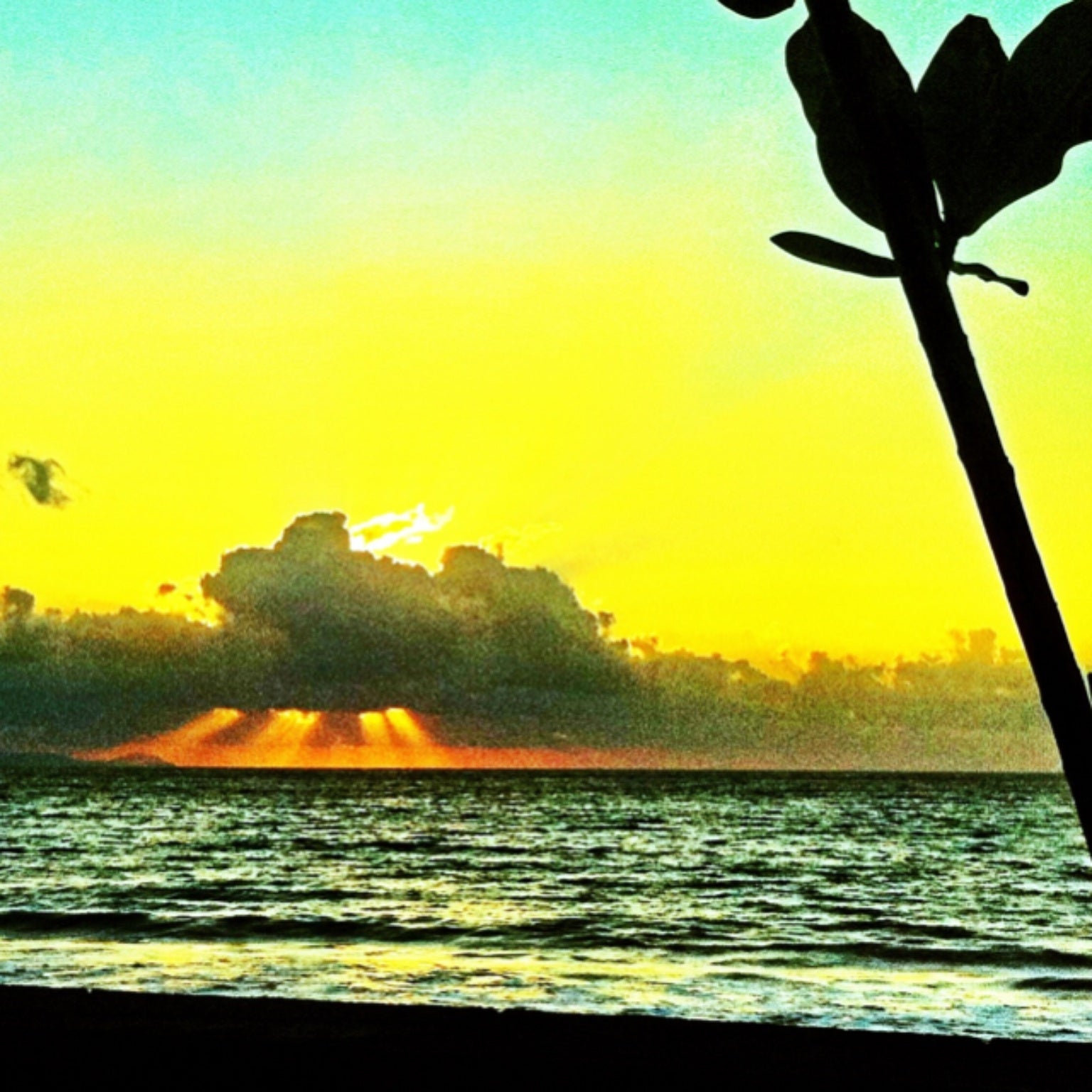 
Pantai Karang
 in Sanur