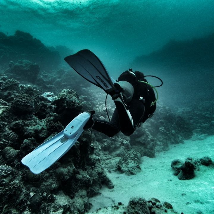 
Paradis Diving Center
 in Le Morne