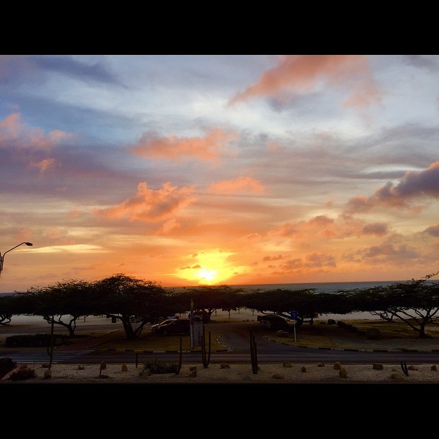 
Paradise Beach Villas
 in Aruba