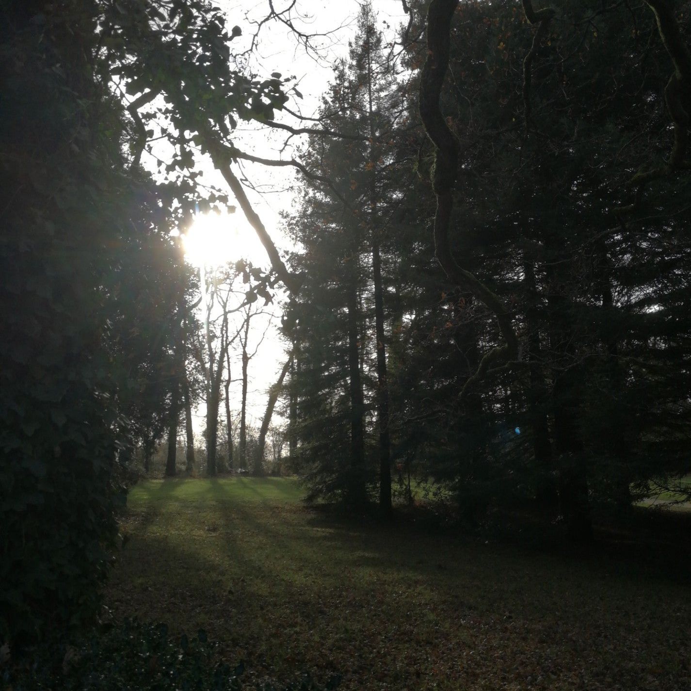 
Parc De La Chantrerie
 in Loire-Atlantique