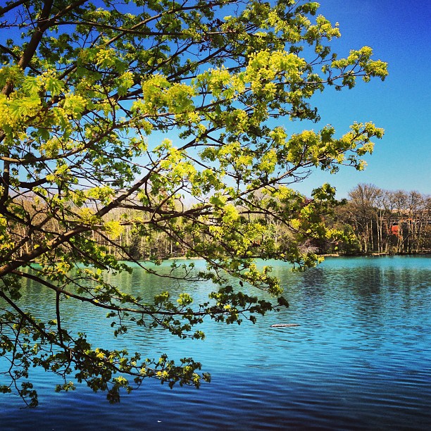 
Parc de la Tête d'Or
 in Grand Lyon Agglomération