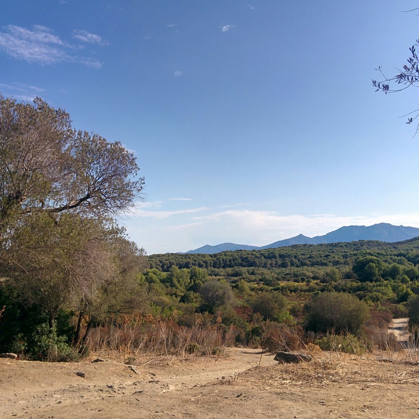 
Parc de Saleccia
 in Upper Corsica