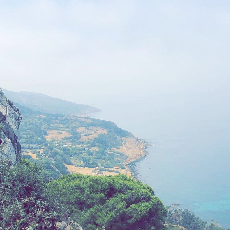 
Parc Perdicaris
 in Tangier