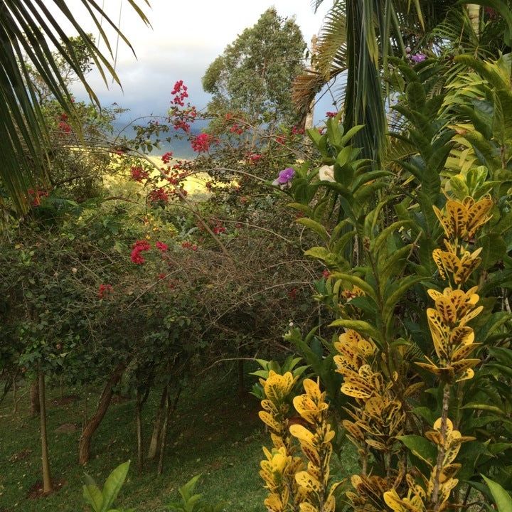 
Parcelacion el Bosque
 in Valle Del Cauca