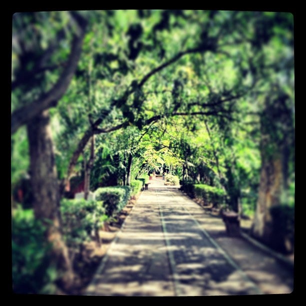 
Parque Benito Juárez
 in El Bajio