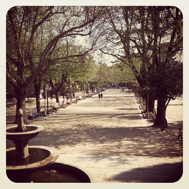 
Parque da Alameda
 in Santiago De Compostela