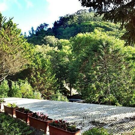 
Parque da Liberdade
 in Sintra