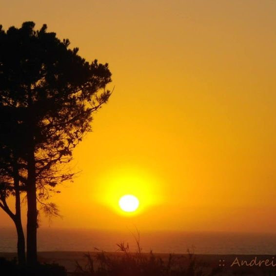 
Parque de Campismo de Melides
 in Alentejo