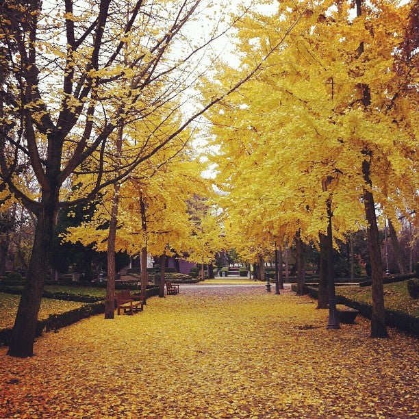 
Parque de la Taconera
 in Pamplona